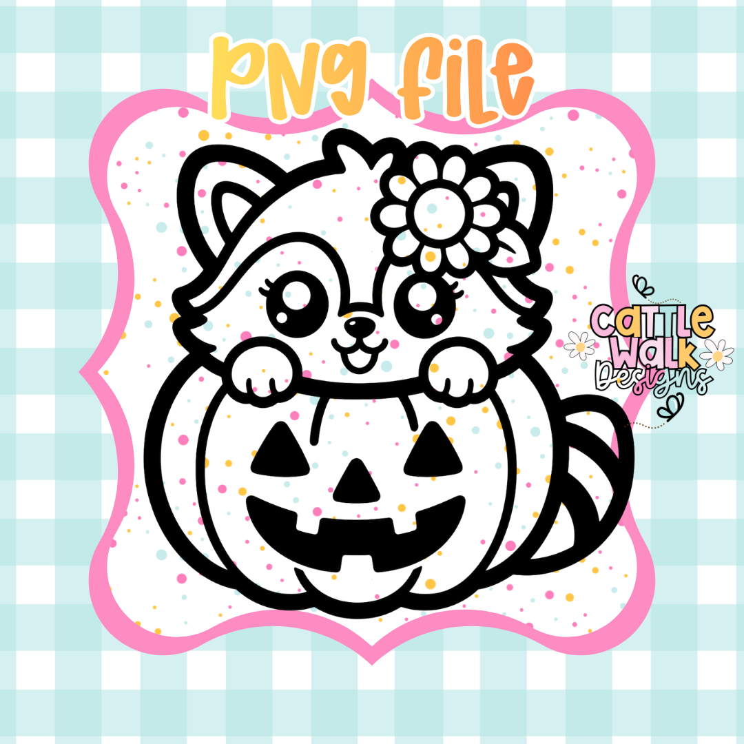 Raccoon in Pumpkin PNG | Cute Halloween Raccoon PNG | Pumpkin Raccoon PNG | Kawaii Halloween PNG | Digital Download